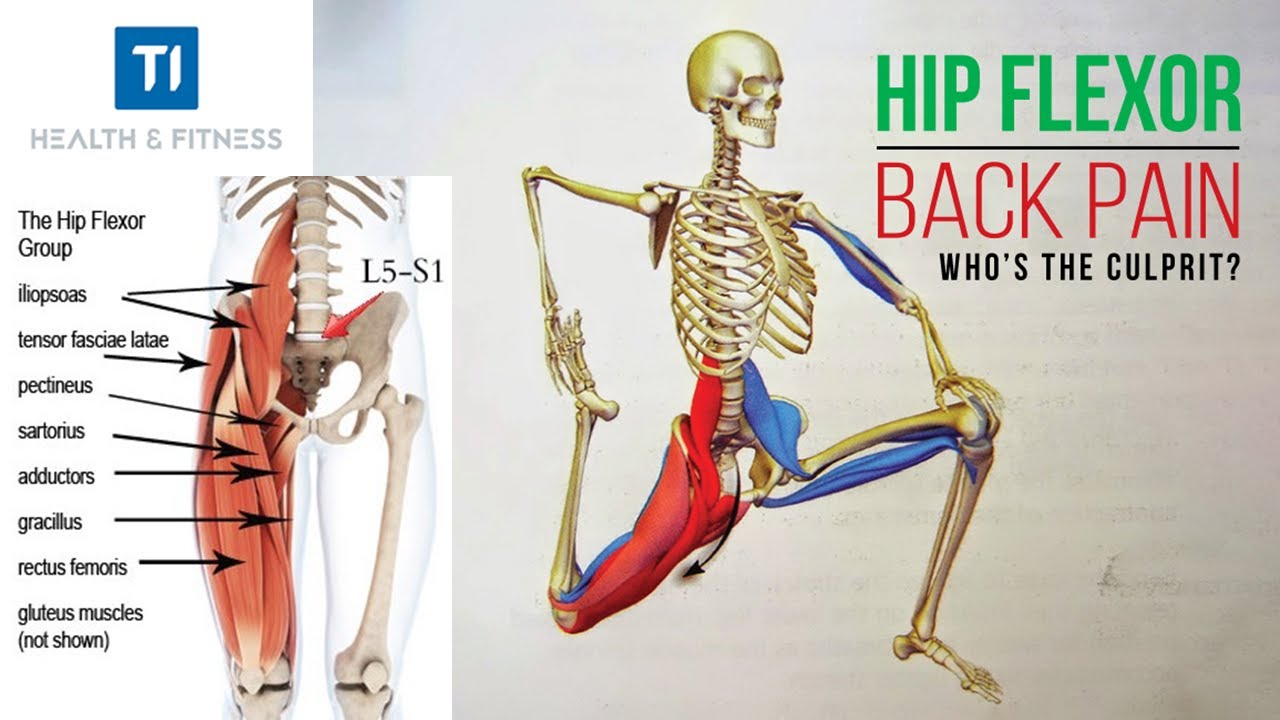 Hamstring tight muscles stiff loosen hamstrings stretches pain thigh stretching exercise static seated
